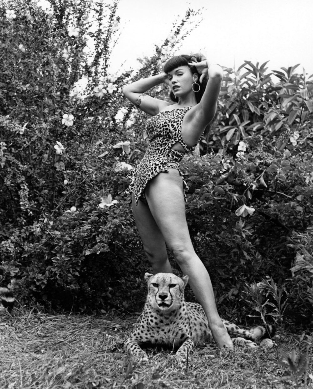 Stunning Pinup Photos of Bettie Page with the Cheetahs in 1954