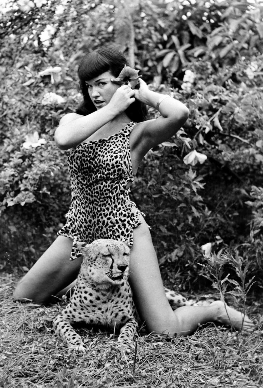 Stunning Pinup Photos of Bettie Page with the Cheetahs in 1954