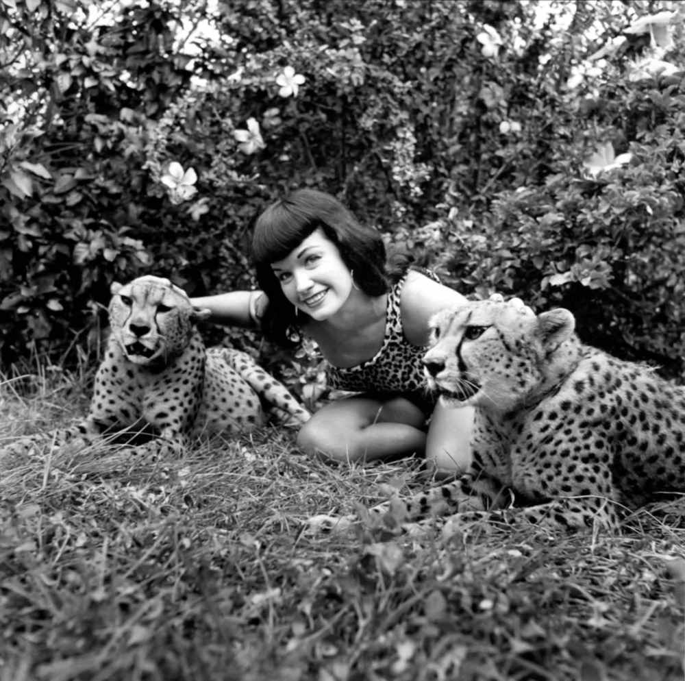 Stunning Pinup Photos of Bettie Page with the Cheetahs in 1954