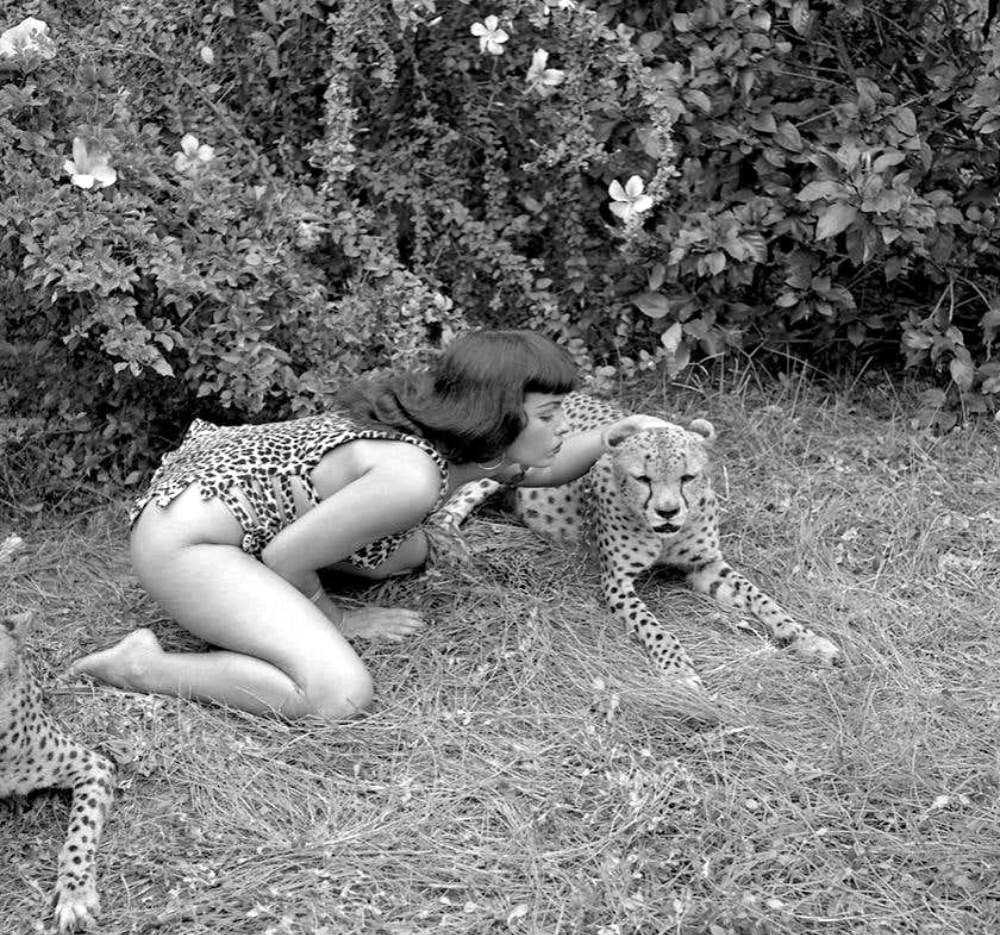 Stunning Pinup Photos of Bettie Page with the Cheetahs in 1954