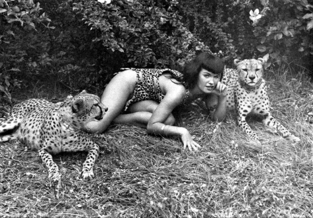 Stunning Pinup Photos of Bettie Page with the Cheetahs in 1954