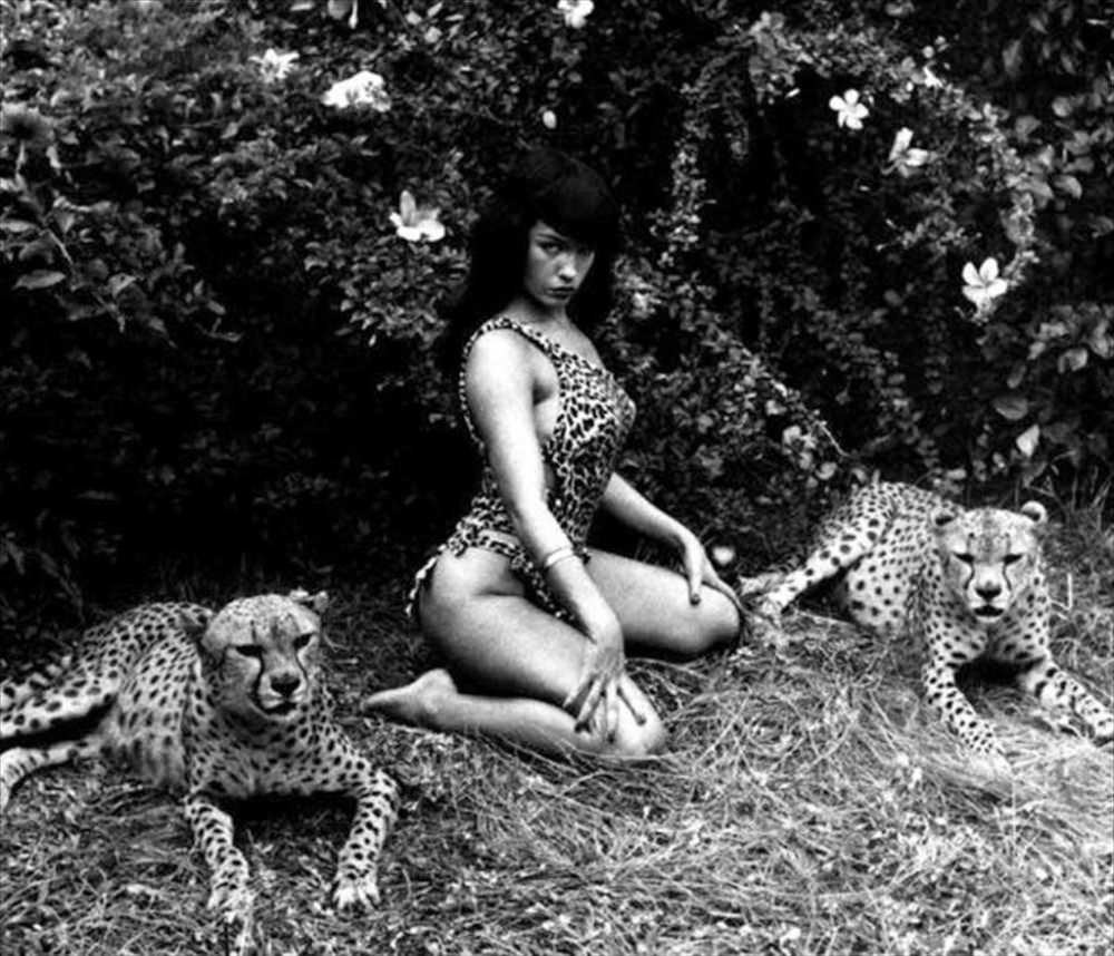 Stunning Pinup Photos of Bettie Page with the Cheetahs in 1954