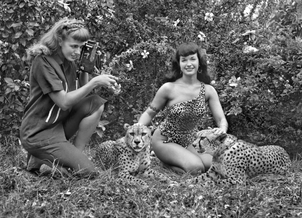 Stunning Pinup Photos of Bettie Page with the Cheetahs in 1954