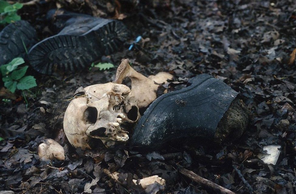 A shoe lies next to a skull at a mass grave site where Muslim men were killed by Serb forces, Srebrenica, Bosnia and Herzegovina, May 14, 1996 .