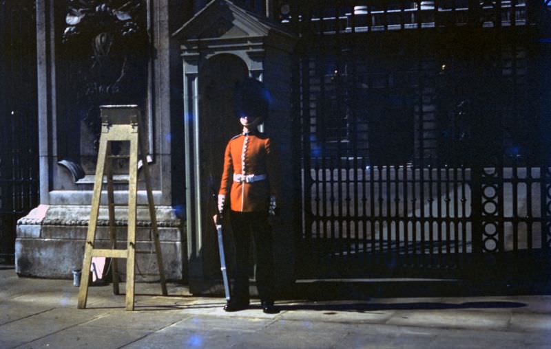 Queen's Guard, London