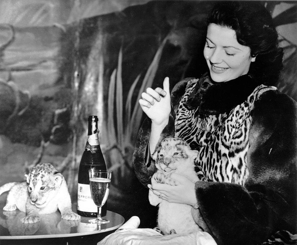 Margaret Lockwood with a tiger baby in the London zoo, 1940.