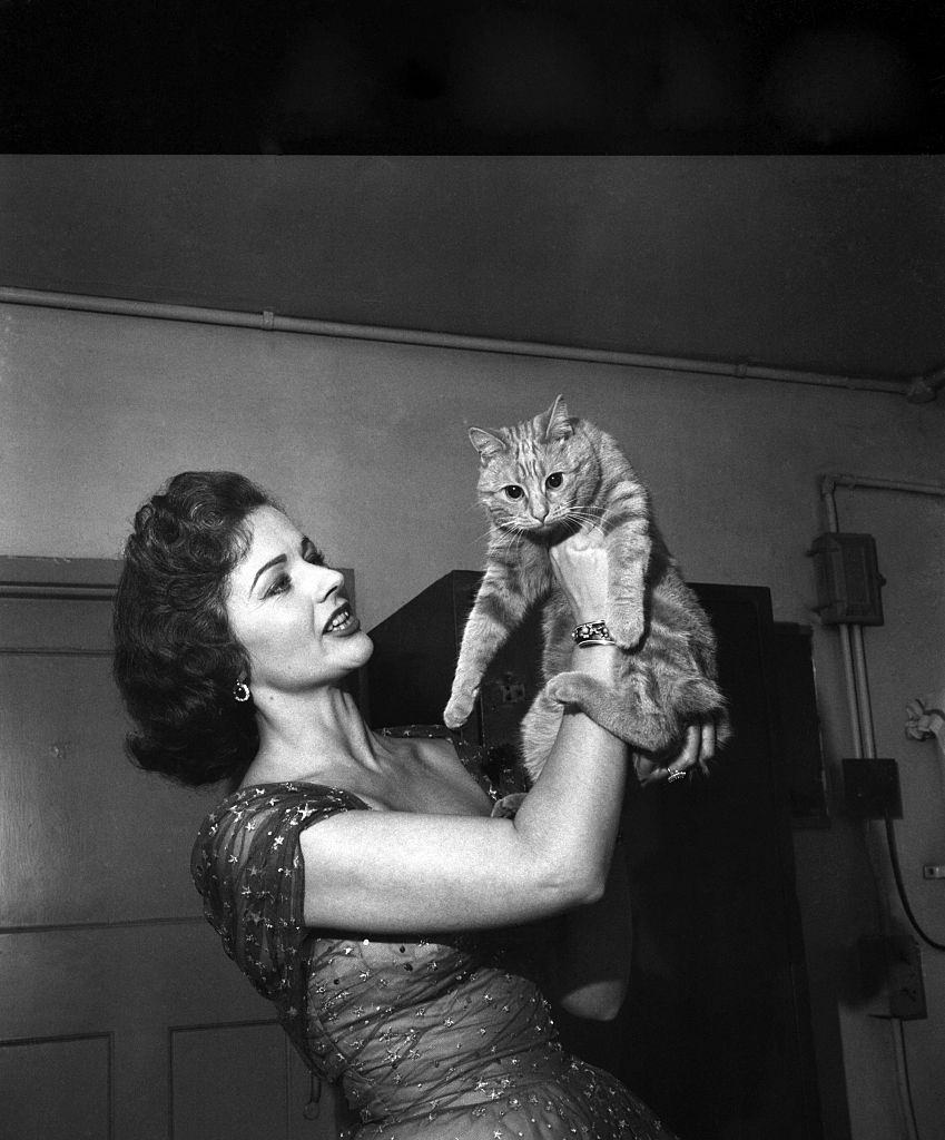 Margaret Lockwood with her cat, 1953.