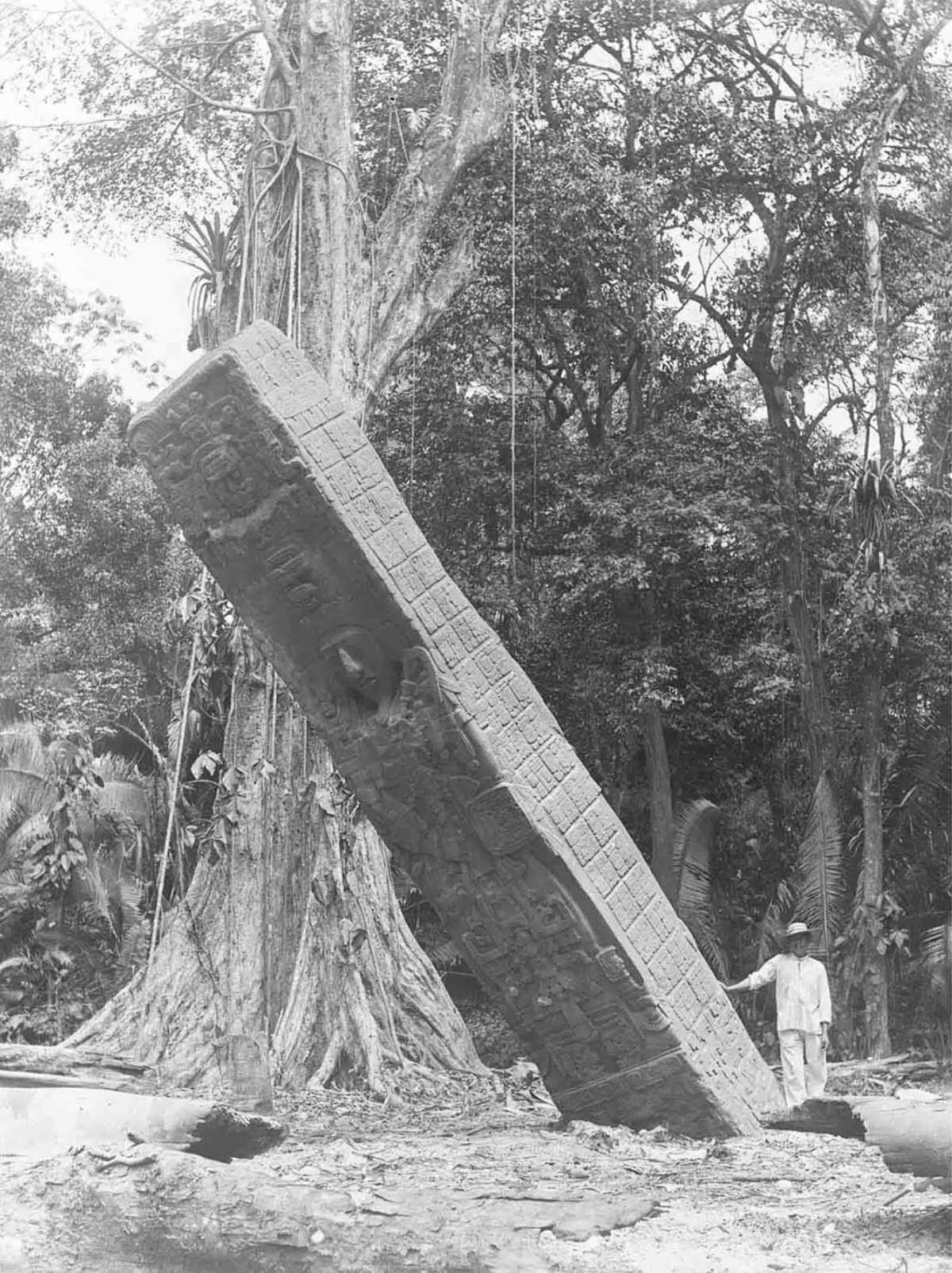 Stela E, Quiriguá, Guatemala. Photo by Maudslay.