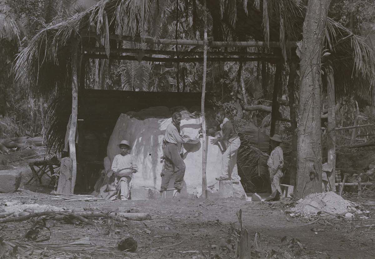 Lorenzo Giuntini and assistants creating a plaster mold of Zoomorph P at Quirigua, Guatemala, 1883.