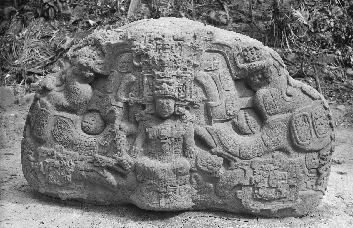 Zoomorph P at Quirigua, Guatemala, 1883.