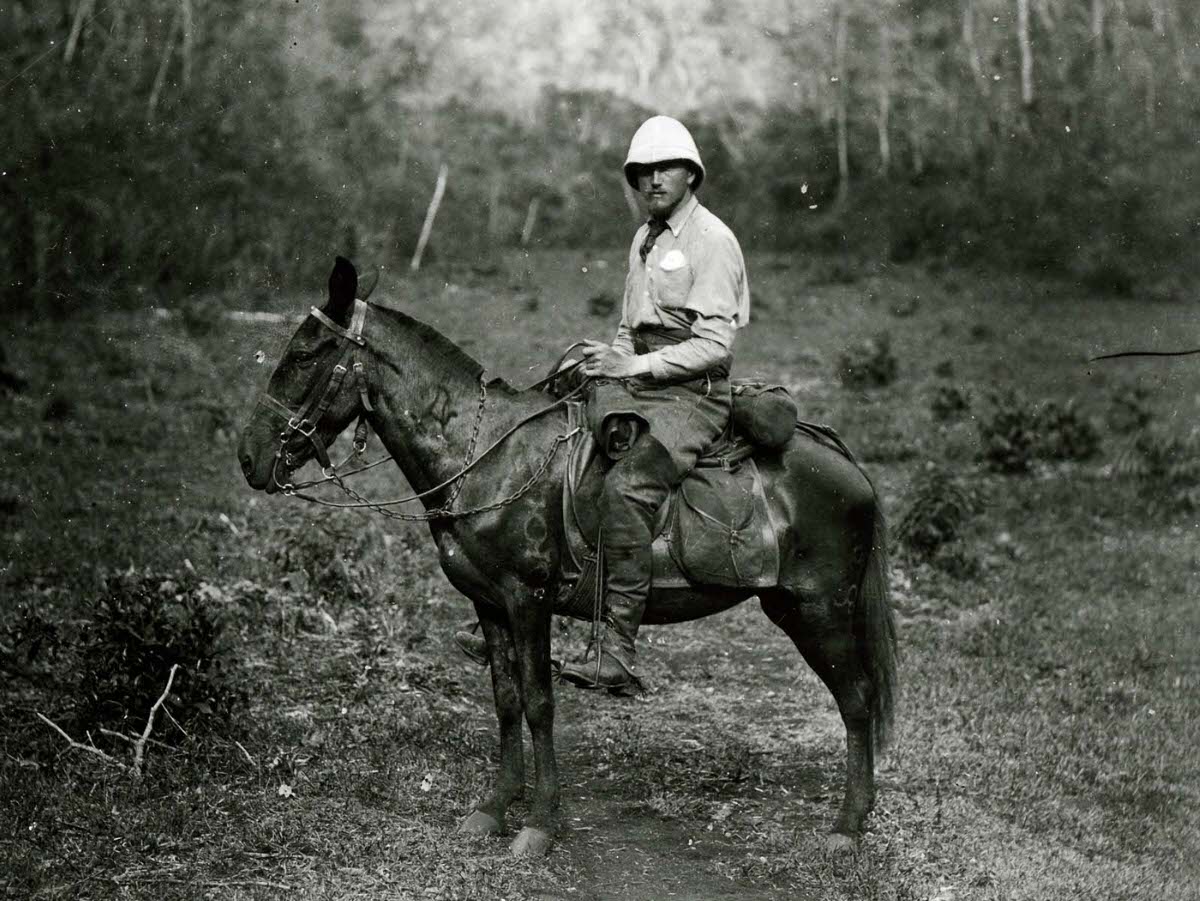 Alfred Percival Maudslay sitting on a mule in a jungle clearing. Photograph taken in Quiriguá, Guatemala, 1890.