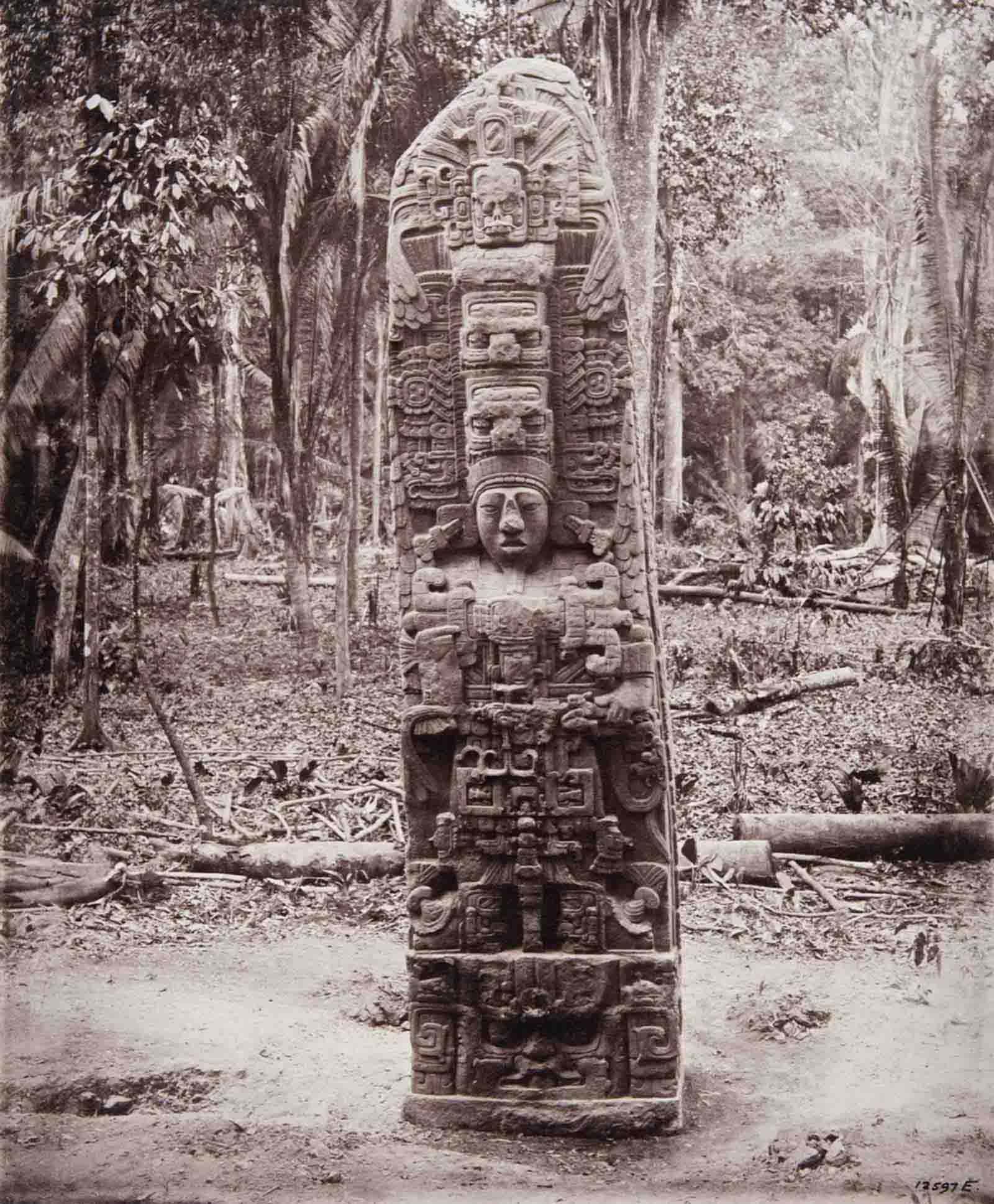 Stela D, dated AD 766. The figure depicted on the craving is that of K’ak’ Tiliw Chan Yopaat, ruler of Quirigua in the mid-eighth century.