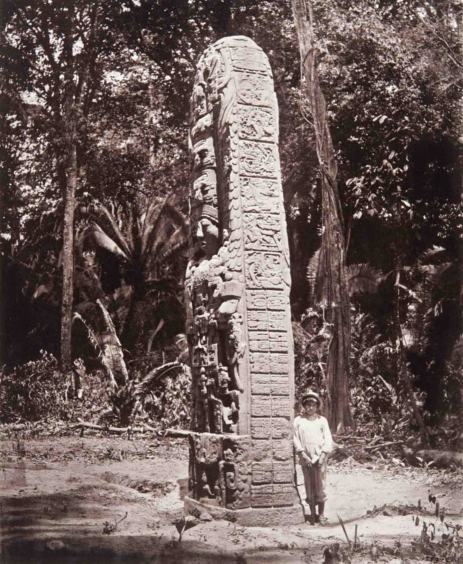 Stela D. Maudslay has included in the photograph one of his local assistants, or mozos, to show the huge size of the monolith, nearly six meters in height.