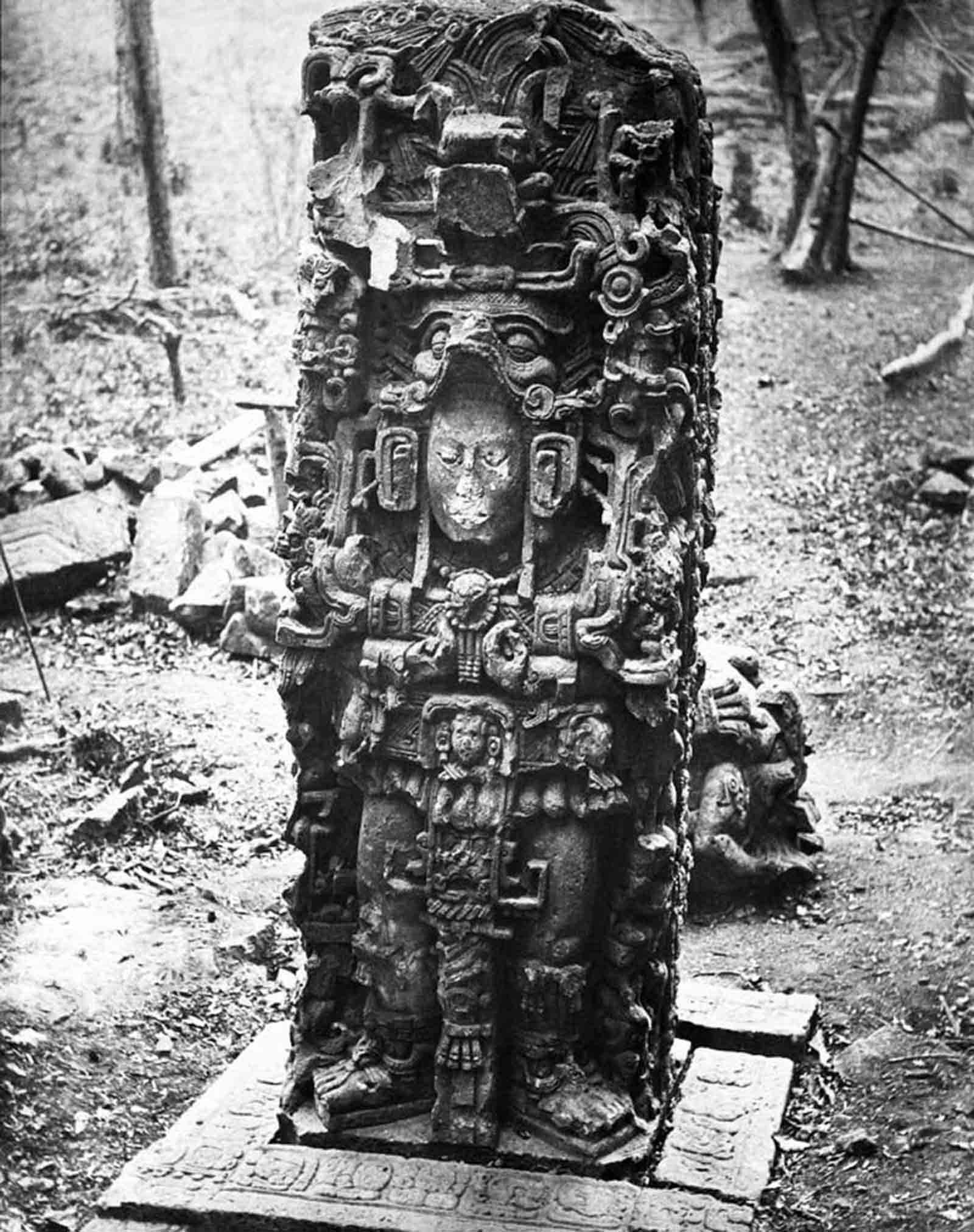 Stela N by Alfred Maudslay, Copan, Honduras 1885.