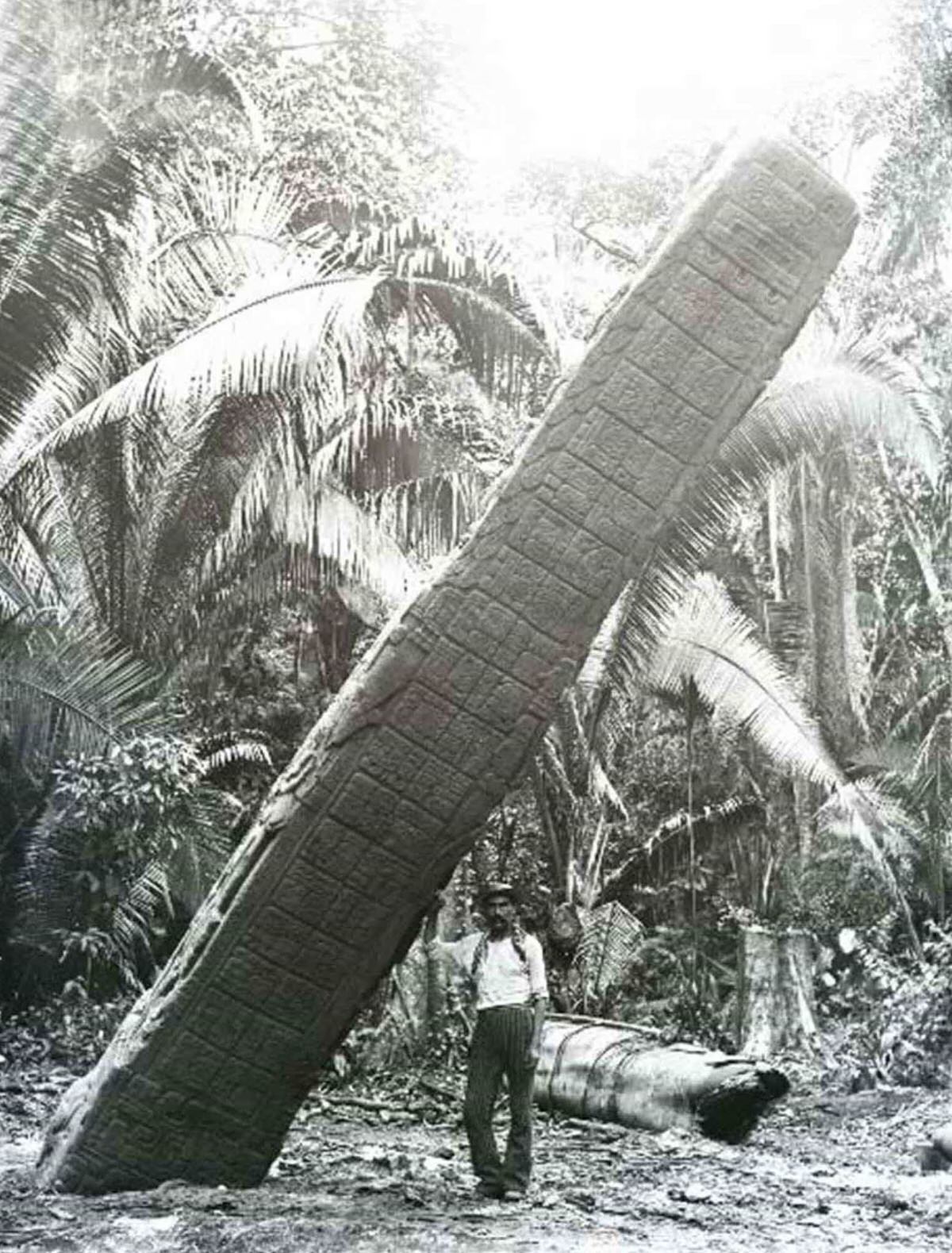 Quiriguá, a man standing with his right hand resting on Stela E, east side. 1894.