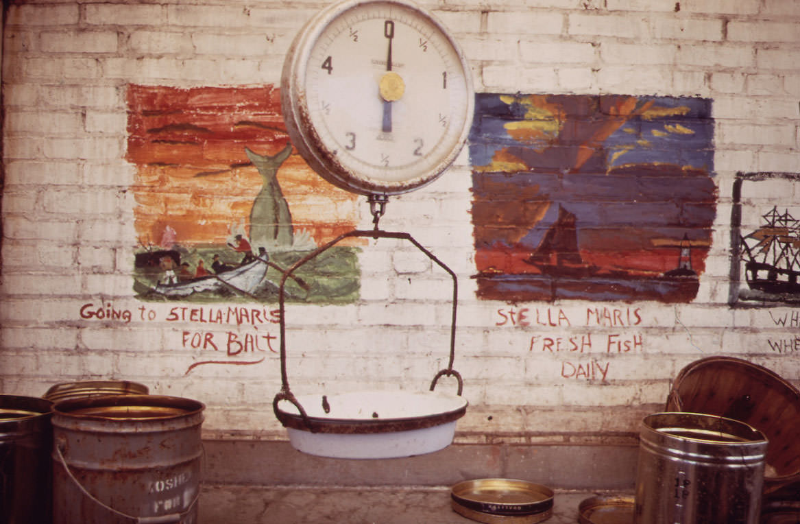 Fish Store in Sheepshead Bay, May 1973