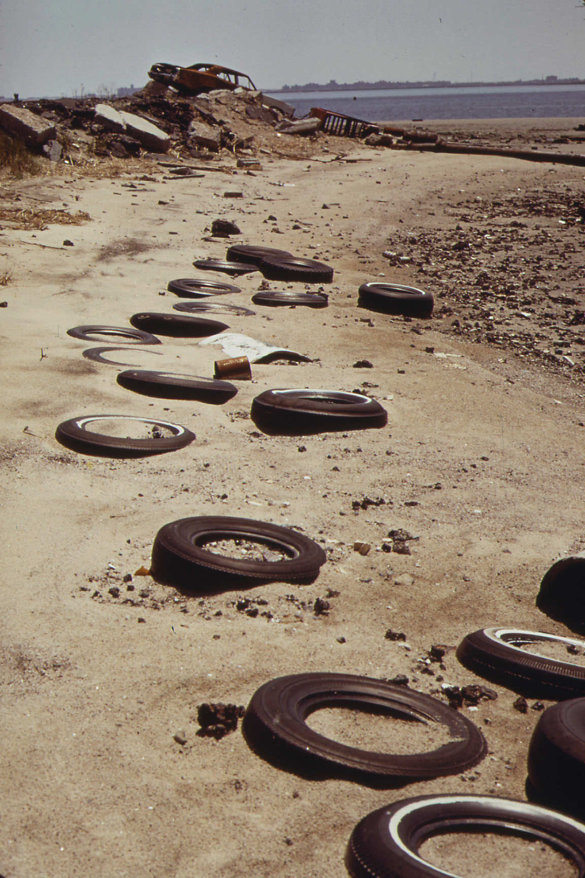 This Land Along Jamaica Bay Is Owned by the JFK Airport, June 1973