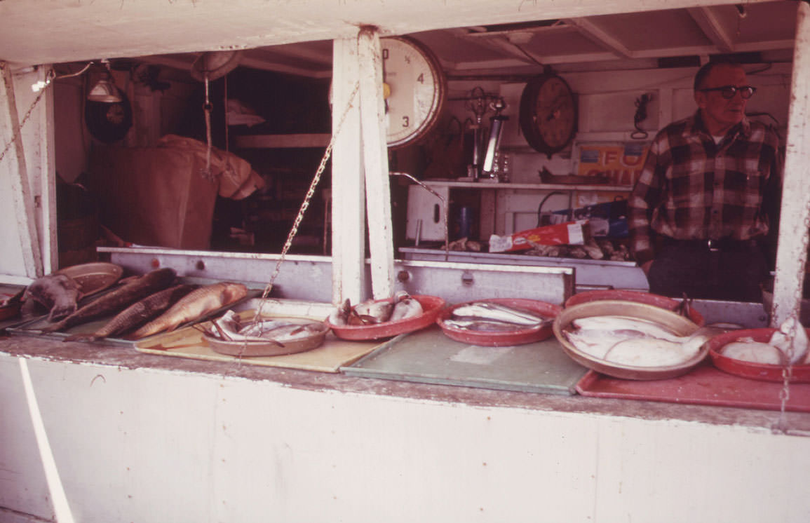 Sheepshead Bay Fish Store, May 1973