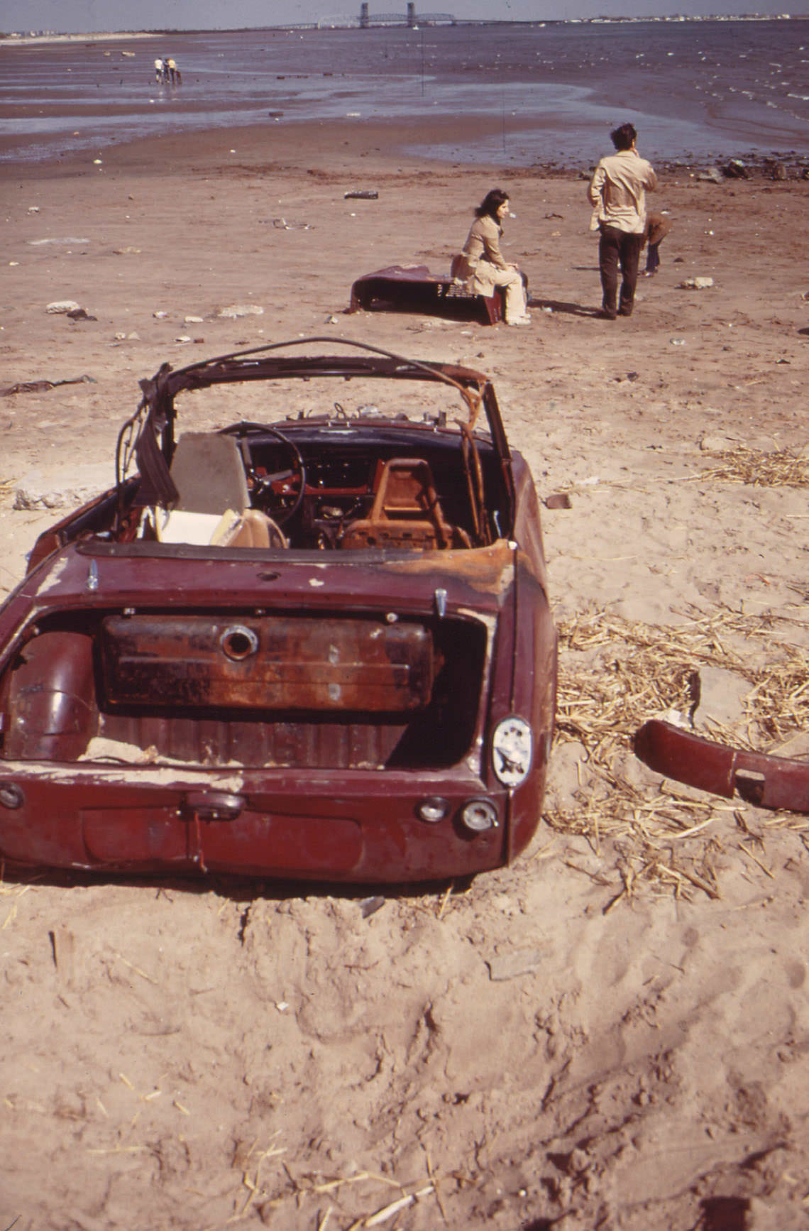 Plum Beach on Sheepshead Bay, May 1973