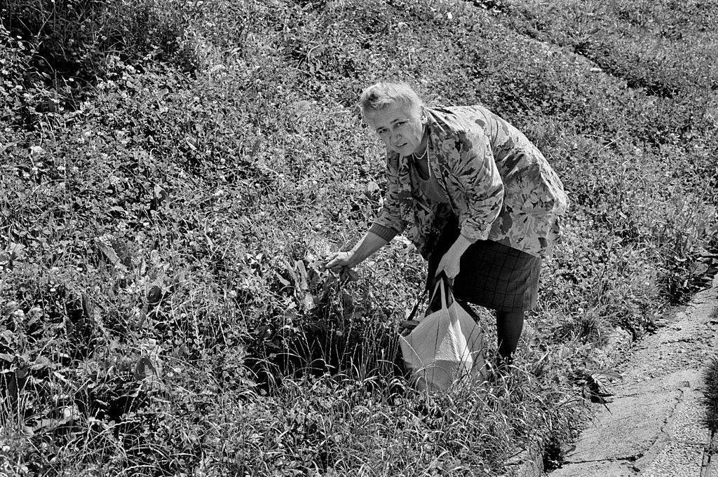 A well dressed woman wearing pearls gathers wild plants and leaves to cook as food becomes scarce in Sarajevo.