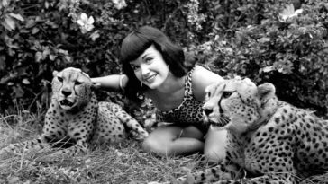 Bettie Page with Cheetahs