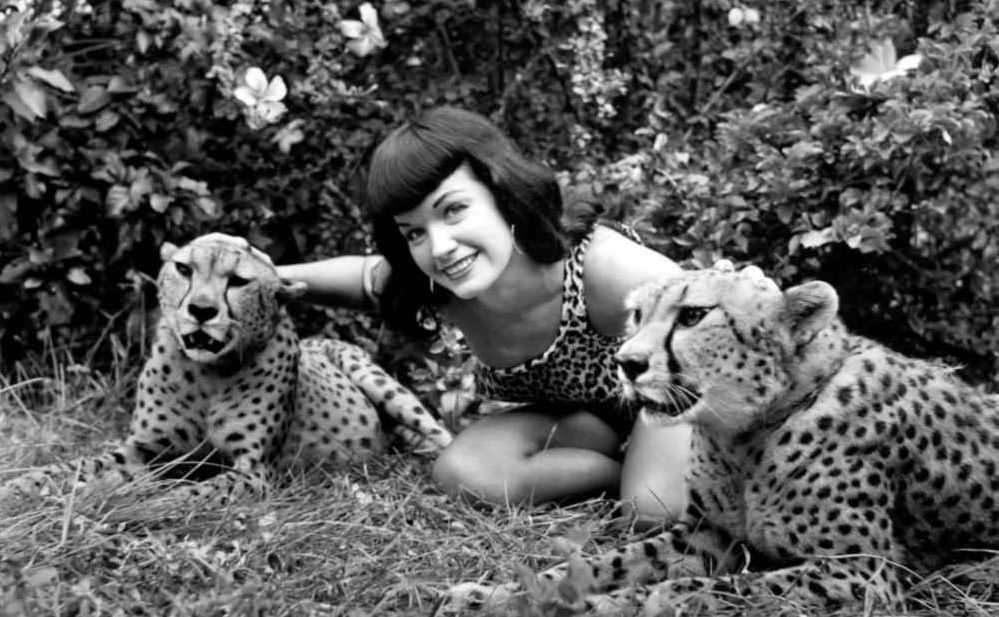 Bettie Page with Cheetahs