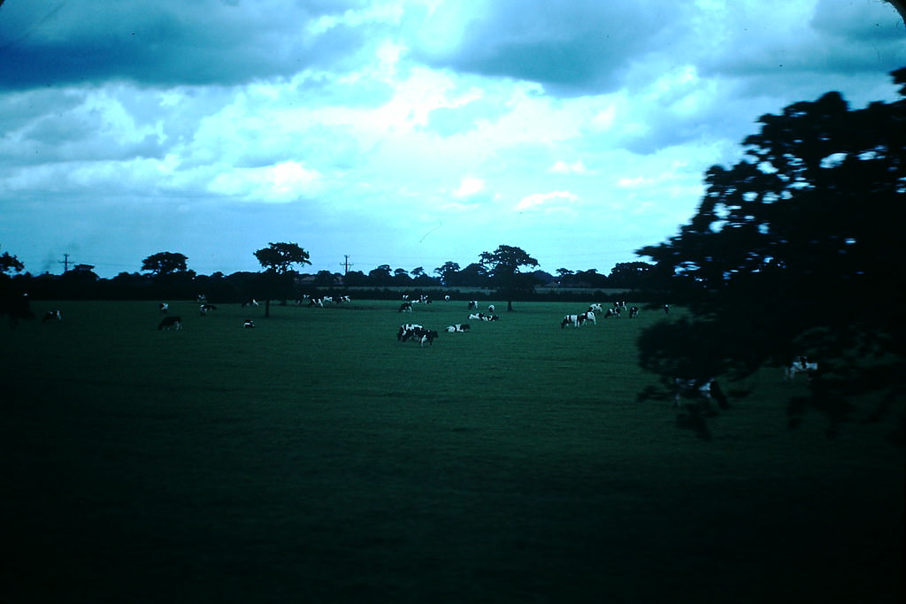 English Countryside From Royal Scot, 1949.