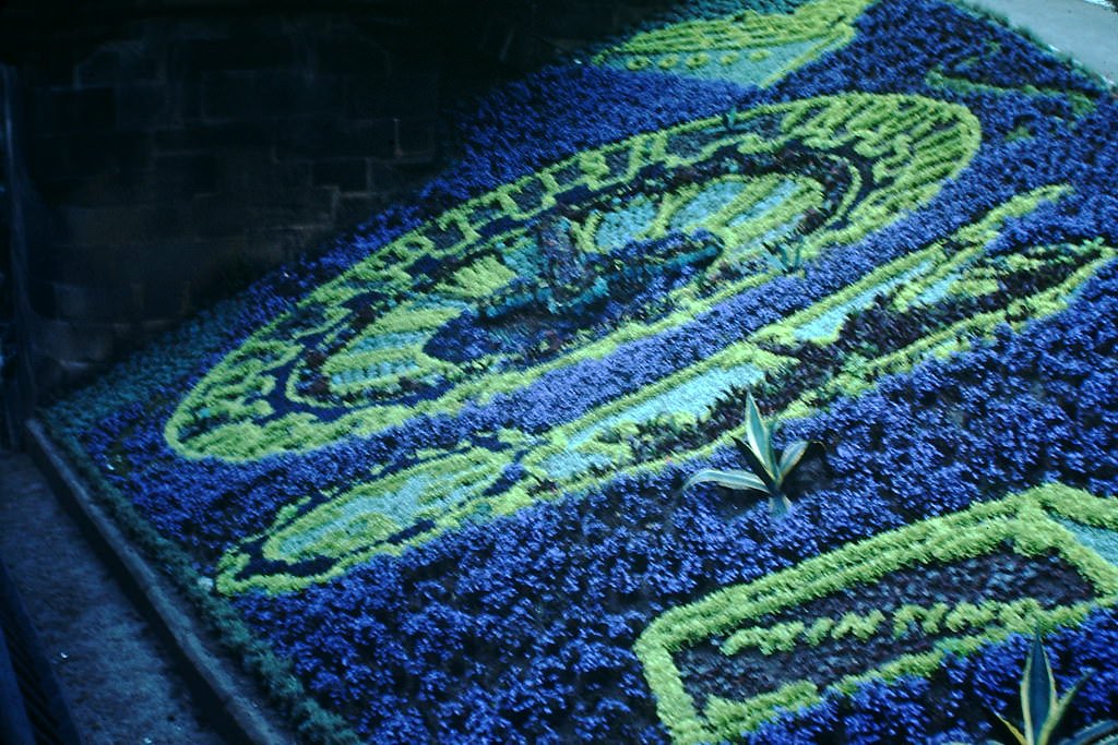 Floral Clock-Princes St Park, Edinburgh, 1949.