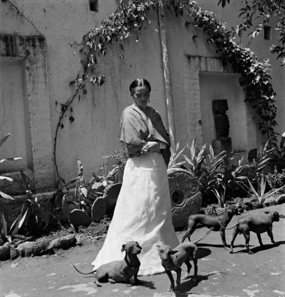 Frida Kahlo was a Great Animal Lover, and These Photos Prove it