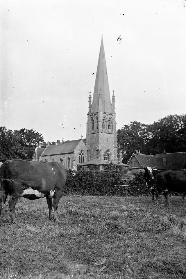 Essex. St. Mary's Church, Widford