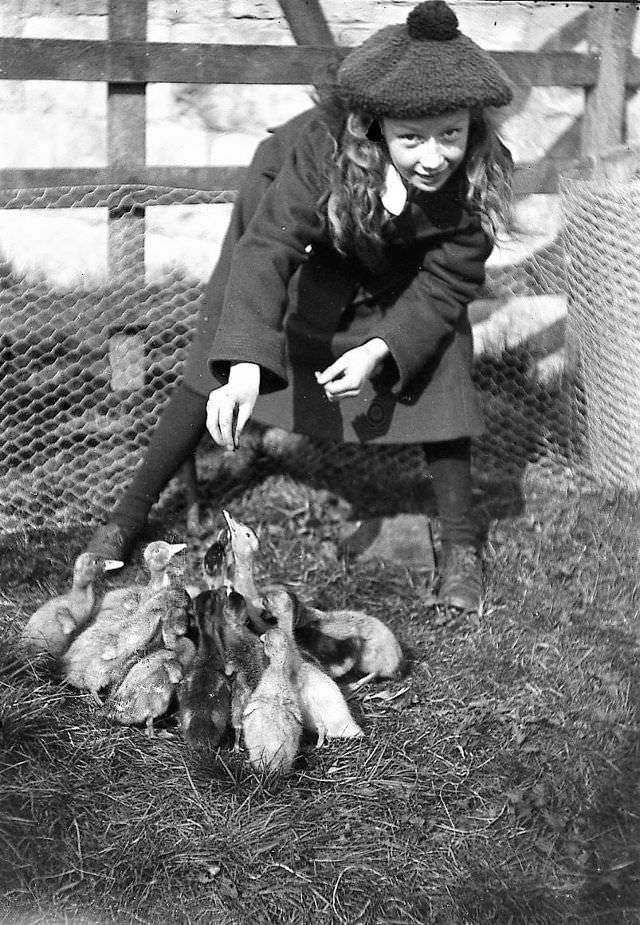 Girl and the ducks