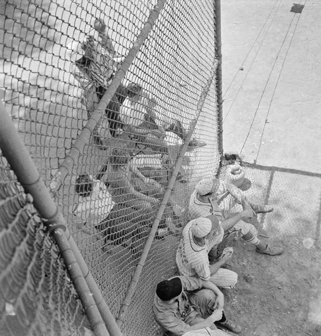 Players and spectators in a baseball game at Ellipse Park, Washington, D.C., July 1942