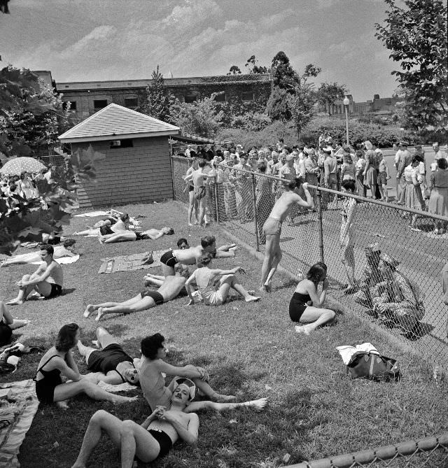 Sunbathers on the grass next to the municipal swimming pool on Sunday, Washington, D.C., July 1942