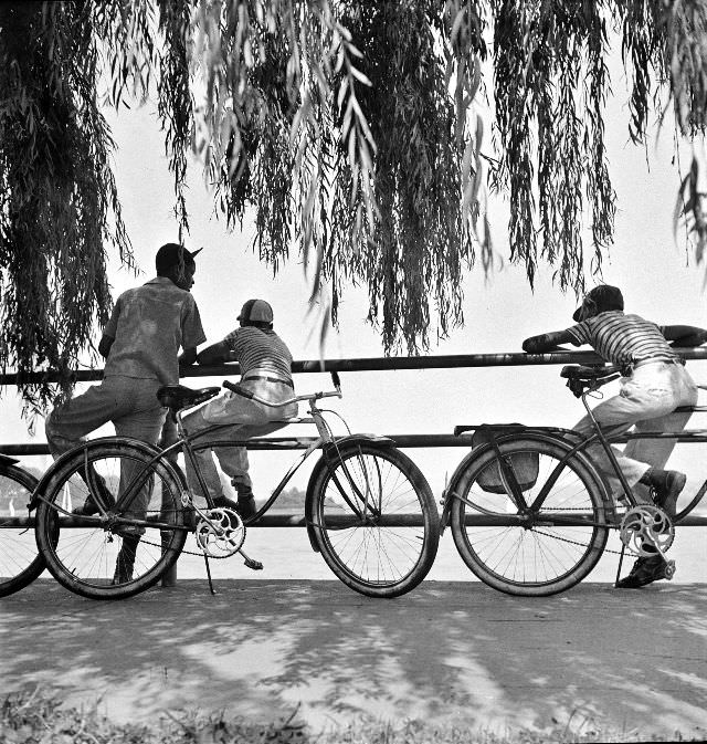 Sunday cyclists watching sailboats at Hains Point, Washington, D.C., June 1942