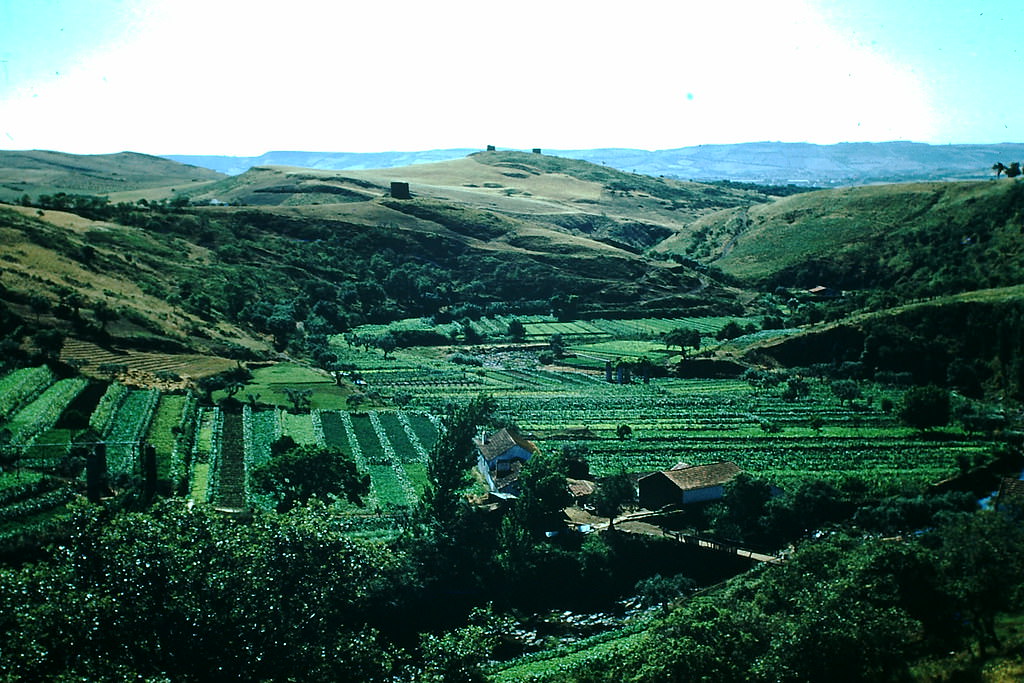 Farm- Valley Ponte D'Lousa- Near Lisbon, 1950s.
