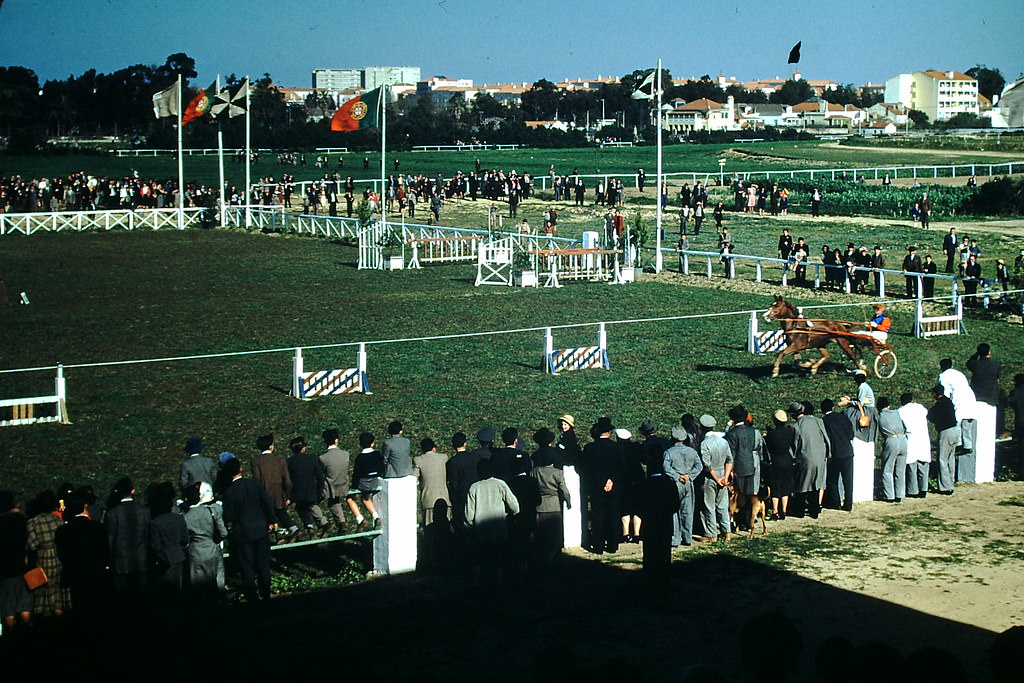 Racetrack in Lisbon, 1950s.