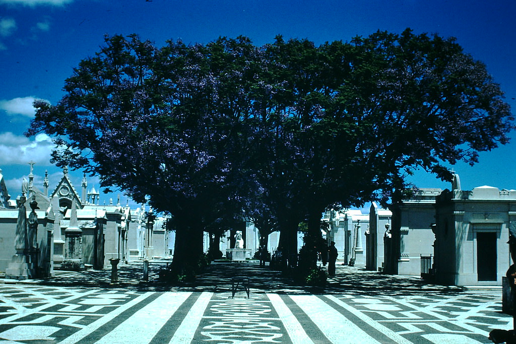 Cemetery in Lisbon, 1950s.