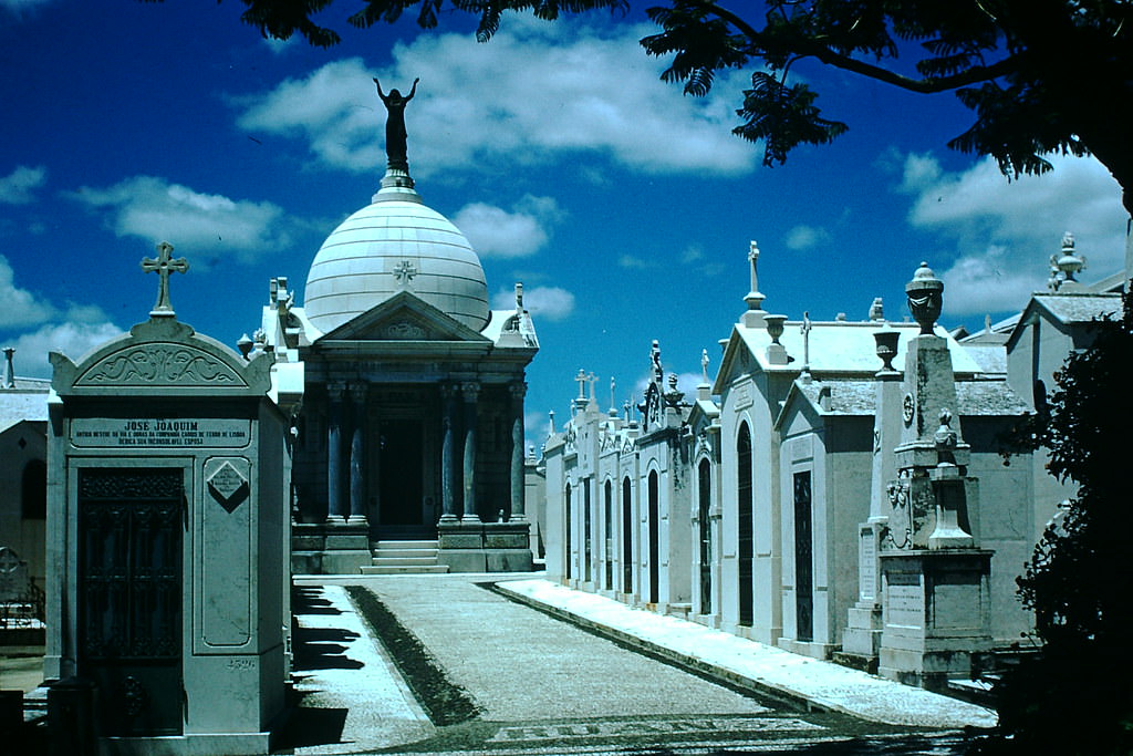 Cemetery Lisbon, 1950s.