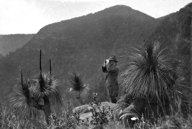 Echo Point, Lamington National Park, Beaudesert Shire, September 1933