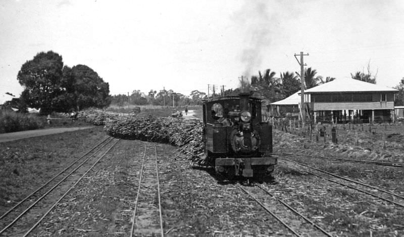 Sugar cane train, Kalamia, Ayr, 1938