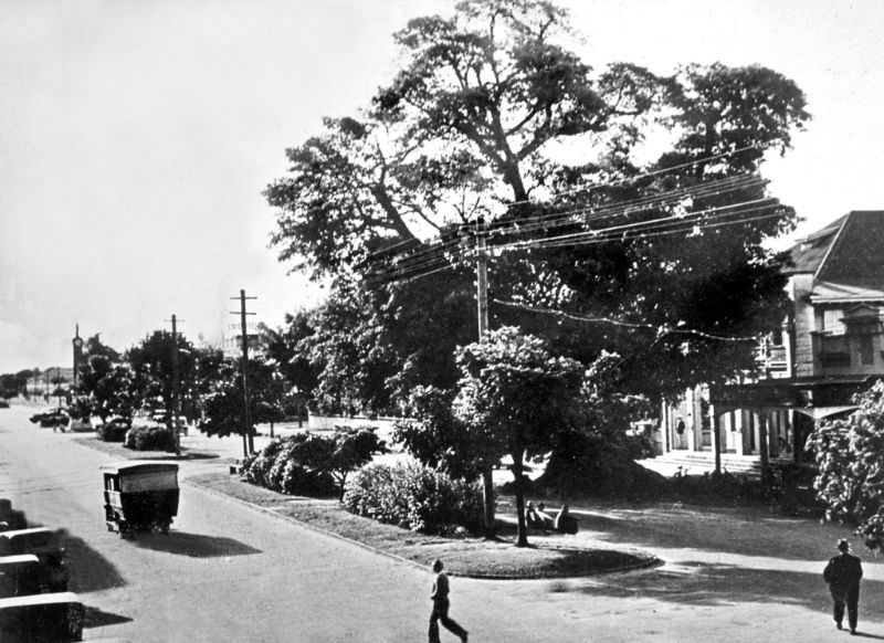 Abbott Street, Cairns, 1931