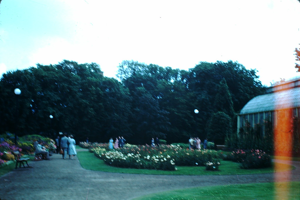 Tradsgarten, Goteborg, Sweden, 1949.