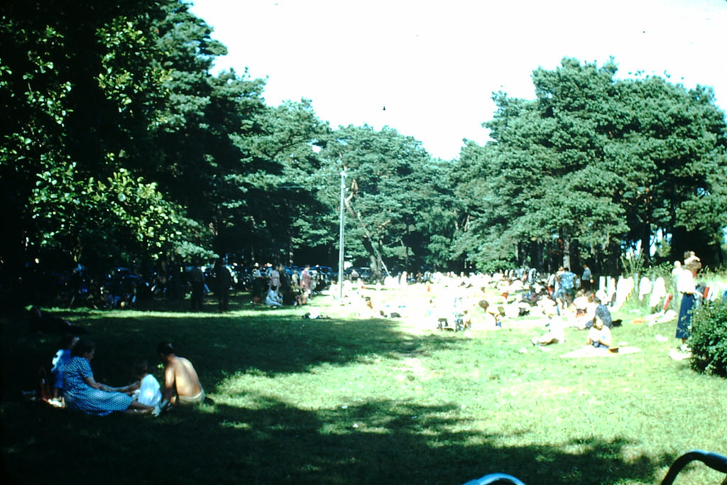 Picnic Ground in Saltsjobad, Sweden, 1949.