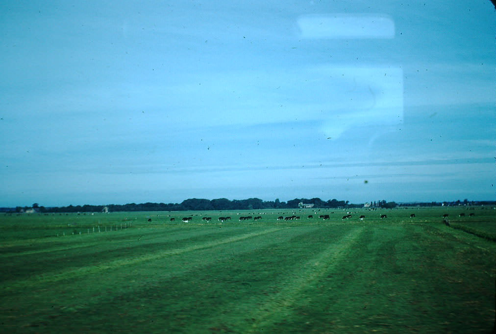 Countryside near Amsterdam, the Netherlands, 1940s.