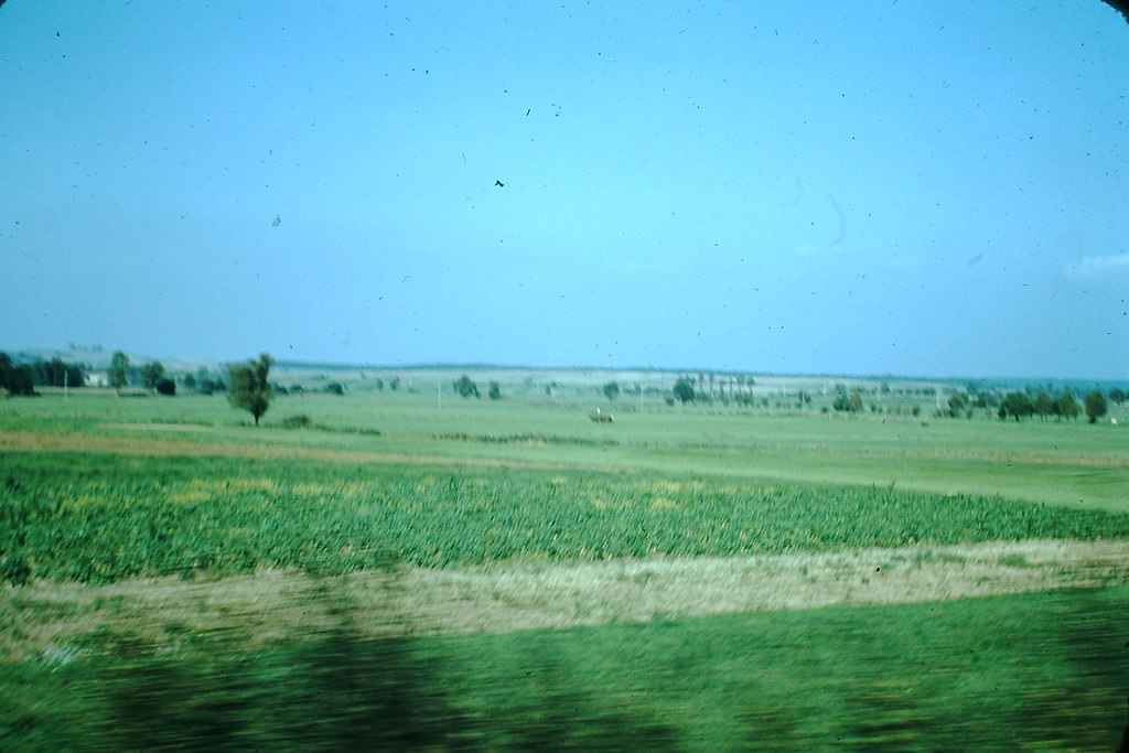 Farm Country Near France Germany, 1949