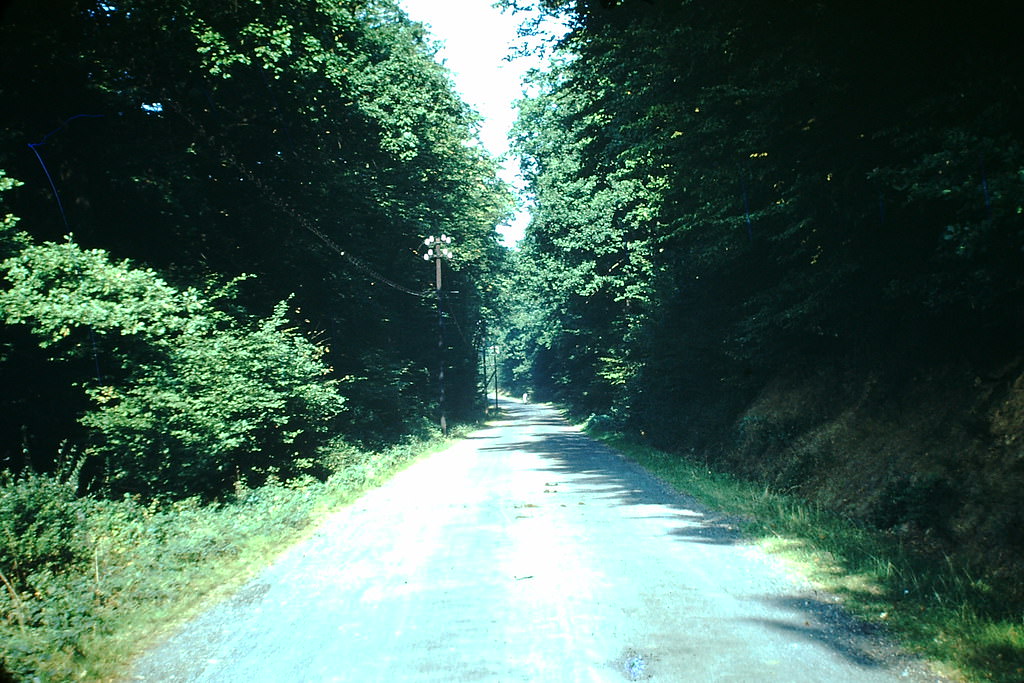 Country Road, Germany, 1949.