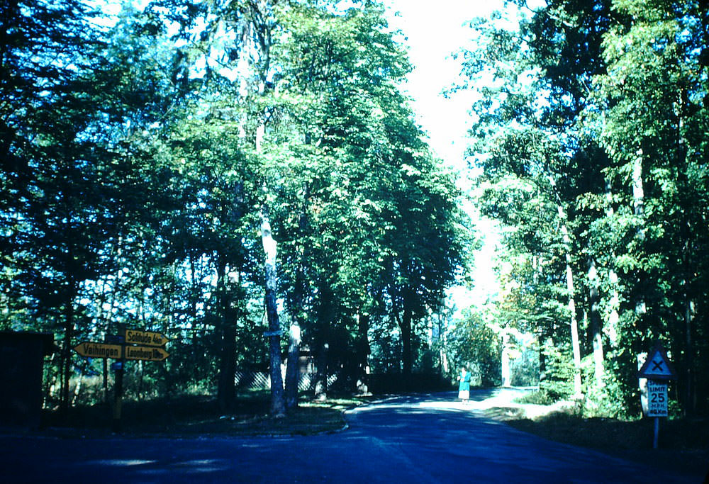 Edge of Black Forest, Near Stuttgart, Germany, 1949.