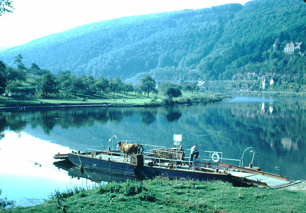 Ferry on the River Neckar, Germany, 1949.