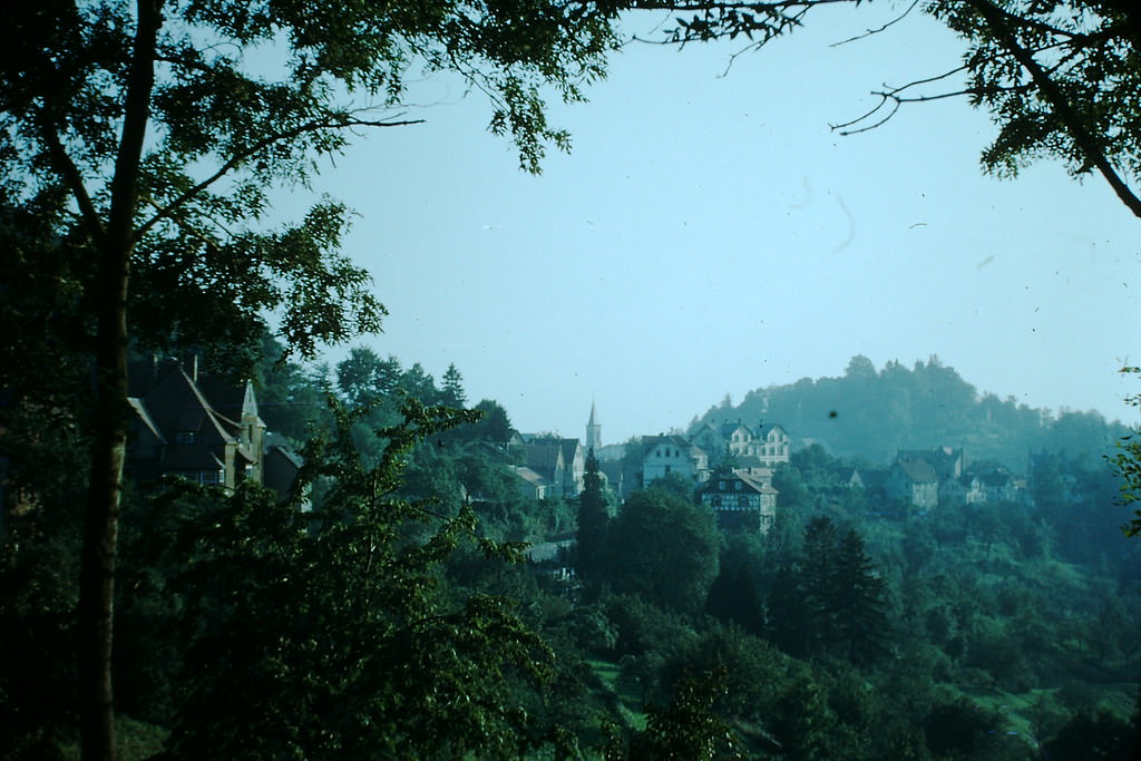 Lindenfelz, Germany, 1949.