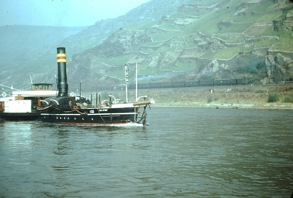 Rhine River, Germany, 1949.